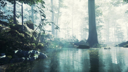 A serene forest is shrouded in soft mist during early morning. Water reflects the lush greenery while gentle light filters through the trees, creating a peaceful atmosphere.の写真素材