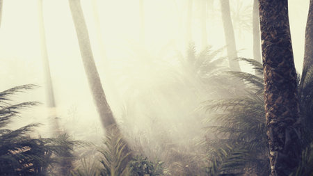 Soft mist blankets a tranquil forest at dawn, where tall trees reach toward the sky. Sunlight breaks through, creating an ethereal atmosphere filled with lush greenery.の写真素材