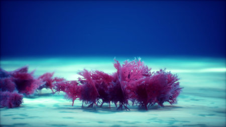 In calm blue waters, clusters of vibrant red sea plants flourish on the ocean floor, creating a stunning contrast with the surrounding tranquility. Natures beauty shines in this underwater scene.の写真素材