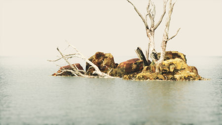 An ancient tree rises from a small rocky island, surrounded by calm waters. The soft hues of dawn create a peaceful atmosphere, reflecting nature's beauty and solitude in this serene setting.の写真素材