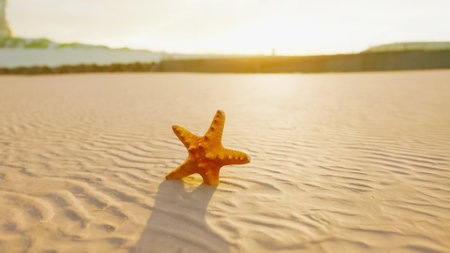 A bright orange starfish lies on the warm sand, showcasing its intricate details while the sun sets in the background, creating a beautiful golden glow over the beach.の写真素材