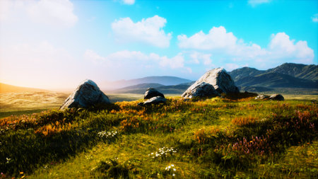 A stunning natural scene unfolds, showcasing vibrant wildflowers and large rocks on a gently sloping meadow, with majestic mountains under a clear blue sky.の写真素材