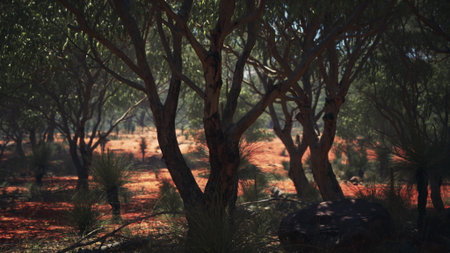 A tranquil forest setting reveals sunbeams shining through lush green trees. The earthy ground glows with warm tones, inviting exploration and connection with nature.の写真素材