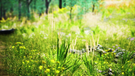 Beneath the warm sun, a vibrant meadow stretches out, teeming with wildflowers and swaying grasses. Natural beauty flourishes as greenery surrounds the lively scene, inviting exploration.の写真素材