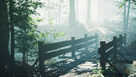 Soft mist envelops a peaceful forest, where a quaint wooden bridge gently crosses a calm stream. Sunlight filters through the trees, creating a magical atmosphere during early dawn.の写真素材