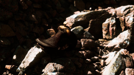 Sunlight filters through a forest canopy, illuminating a beautifully crafted wooden sculpture resting on rugged rocks. Nature frames the artistic piece, creating a serene atmosphere.の写真素材