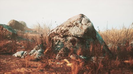 A vast, tranquil landscape showcases an array of rugged boulders amidst golden grasses swaying gently in the breeze under a soft, warm light, evoking peacefulness and connection to nature.の写真素材