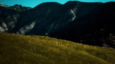 Rolling hills of golden grass catch the fading light of dusk, creating a tranquil scene. Majestic mountains loom in the background, enhancing the natural beauty of the landscape.の写真素材