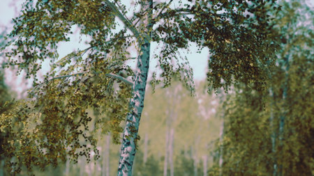 Sunlight filters through the lush greenery of a forest, highlighting delicate leaves. A refreshing breeze brings life to the tranquil atmosphere, inviting peace and reflection.の写真素材