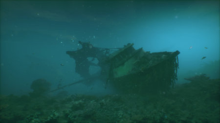 Beneath the calm surface of the sea, a sunken ship lies in eerie stillness. Over time, it has become...
