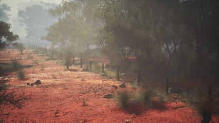 A secluded dirt path winds through the red soil, bordered by green shrubs and trees. The hazy atmosphere adds a layer of mystery to this tranquil Australian scene.の写真素材