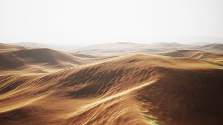 Endless sand dunes stretch across the horizon, bathed in warm sunlight. The gentle curves and textures create a mesmerizing pattern. A serene landscape invites quiet contemplation.の写真素材