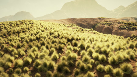 Lush, green grasslands stretch across a vast landscape, bathed in warm sunlight. In the background, majestic mountains rise, adding depth to this serene natural scene.の写真素材