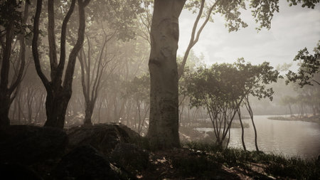 A gentle mist hangs over the calm river, surrounded by tall trees and lush greenery. Sunlight filters through the leaves, creating a peaceful morning atmosphere. Nature awakens in beauty.の写真素材