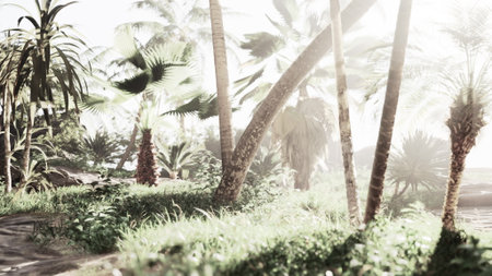 Sunlight filters through tall palm trees, casting soft shadows on vibrant green grass. The tranquil atmosphere invites a sense of peace and connection to nature.の写真素材