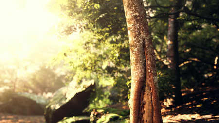 Radiant sunlight streams through the leaves of tall trees, casting a warm glow on the forest floor....