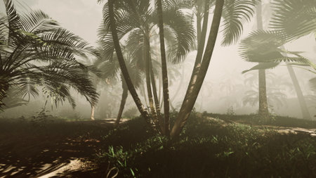 Thick mist blankets a vibrant tropical forest, where tall palm trees rise amidst rich green foliage. The atmosphere feels mysterious and enchanting as nature whispers all around.の写真素材