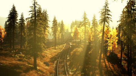 Golden sunlight filters through tall trees, casting long shadows on a winding railway track. The...