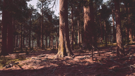 Wander through a peaceful forest filled with towering trees that reach towards the sky. Soft light...
