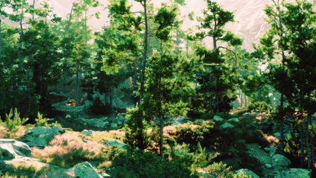 Sunlight spills through tall trees in a dense forest, highlighting rich green foliage and tranquil...