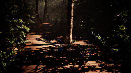 A serene wooden path leads through thick green foliage. Shadows dance as trees stretch towards the fading light, creating a peaceful atmosphere in the forest.の写真素材