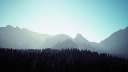 Soft rays of dawn light illuminate towering mountains, casting a serene glow over the dark green forest below. The scene captures the tranquil beauty of nature awakening.の写真素材