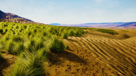 Amidst the sandy desert, lush green grass spreads across the landscape, creating a striking contrast. Rolling hills and distant mountains frame the scene, illuminated by the suns warm glow.の写真素材