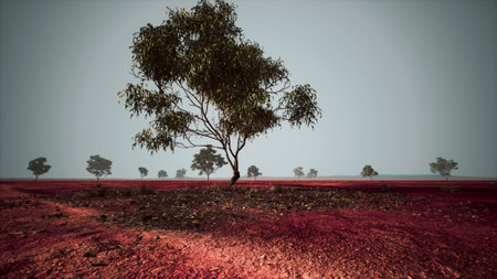 In an expansive red terrain, solitary trees rise against a backdrop of soft hues. The stillness...