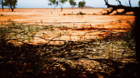 In a sunlit expanse, a rustic fence weaves through the dry earth, surrounded by sparse vegetation and distant trees, evoking a sense of tranquility in an expansive landscape.の写真素材