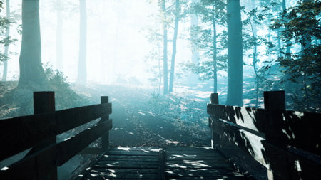 Sunlight filters through the trees as a wooden bridge leads into a mysterious forest. Gentle mist envelops the surroundings, creating a tranquil atmosphere for adventurers and nature lovers alike.の写真素材