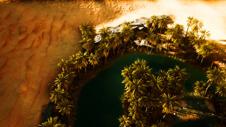 A vibrant oasis brimming with palm trees sits majestically in a sea of golden sand. The serene water reflects the warm hues of the sun, creating a tranquil yet striking landscape at sunset.の写真素材