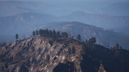 A breathtaking mountain range looms in the distance, enveloped in a gentle mist. Tall trees cling to...