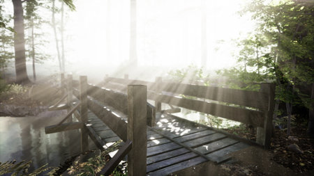 Mist gently blankets a serene forest as warm sunlight streams through towering trees. A quaint wooden bridge arches over a tranquil pond, inviting exploration in nature's embrace.の写真素材