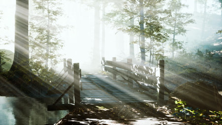 Soft sunlight filters through trees to illuminate a rustic wooden bridge over a serene stream. Mist hangs in the air, creating a peaceful atmosphere in the forest at dawn.の写真素材