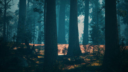 Sunlight filters through the tall trees, casting gentle shadows on the forest floor. A tranquil atmosphere surrounds the scene, inviting exploration and reflection in nature.の写真素材