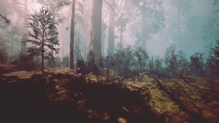 Sunlight filters through tall trees, creating beautiful shadows on the forest floor. Ferns and shrubs add lush greenery to the tranquil scene, inviting exploration and adventure.の写真素材