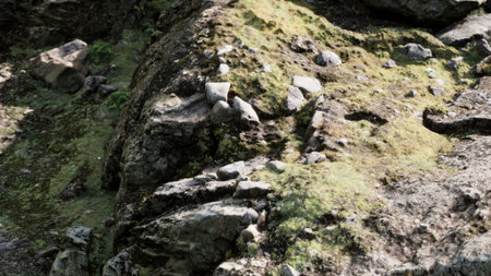 Sunlight brightens rocky ground adorned with vibrant green moss and scattered gray stones, showcasing natures beauty in a serene outdoor setting.の写真素材