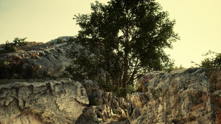 Sunlight filters through rocky terrain, highlighting a solitary tree standing strong among rugged formations. Nature thrives in this serene and vibrant environment.の写真素材