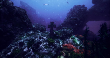 Beneath the surface, colorful coral formations. Schools of fish swim by in a serene underwater environment teeming with life.の写真素材