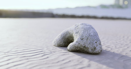 A coral formation rests on the soft sandy beach, illuminated by the golden light of sunset. Gentle waves lap at the shore in the background, creating a serene atmosphere.の写真素材