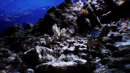A colorful underwater ecosystem thrives on the seabed, featuring intricate coral structures and rugged rocks. Sunlight penetrates the water, illuminating this marine environment.の写真素材