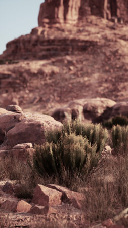 A view of the dry terrain of the Nevada desert.の写真素材