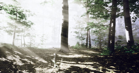 Sunlight streams through tall trees, casting dramatic shadows on the forest floor. The peaceful...