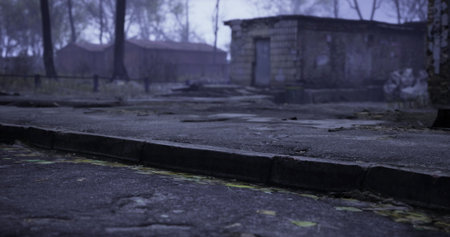 A neglected pathway leads to a dilapidated structure, surrounded by trees and overgrown vegetation. The atmosphere is quiet and mysterious, hinting at stories untold.の写真素材