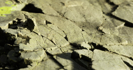 Unique patterns and textures are visible on a cracked stone surface illuminated by soft natural...