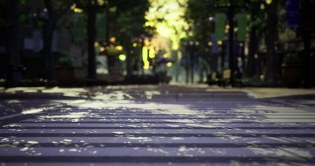 A sunlit urban street is decorated with fallen leaves, creating a calm and serene atmosphere. Trees line the walkway, enhancing the peaceful vibe of the early morning setting.の写真素材
