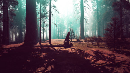 An awe-inspiring photo capturing the grandeur of a sequoia forest filled with towering trees.の写真素材