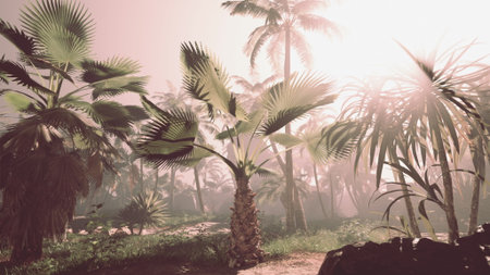 Lush palm trees reach for the skies in a serene tropical setting, softly illuminated by warm sunlight. The atmosphere is peaceful, evoking the essence of a quiet summer day.の写真素材