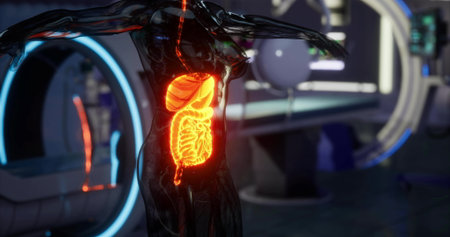 A visualization of internal organs focuses on the digestive system within a futuristic laboratory. Neon lighting emphasizes the complex structures and their functions as part of anatomical study.の写真素材