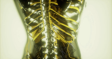 This visual representation showcases the intricate network of blood vessels, including veins and...